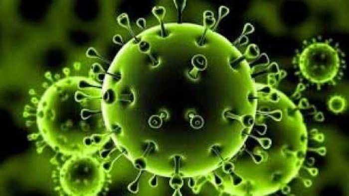 حالات الشفاء من فيروس كورونا حول العالم تتخطى 3 ملايين و800 ألف متعاف