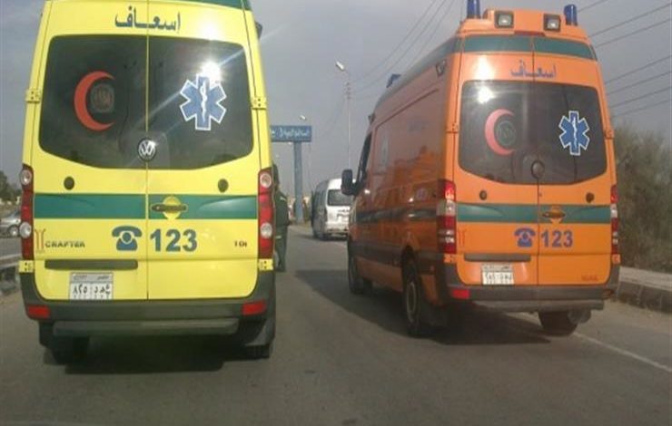 سائق يذبح شقيقته في الهرم ويمزج جسد ابنتها..التفاصيل